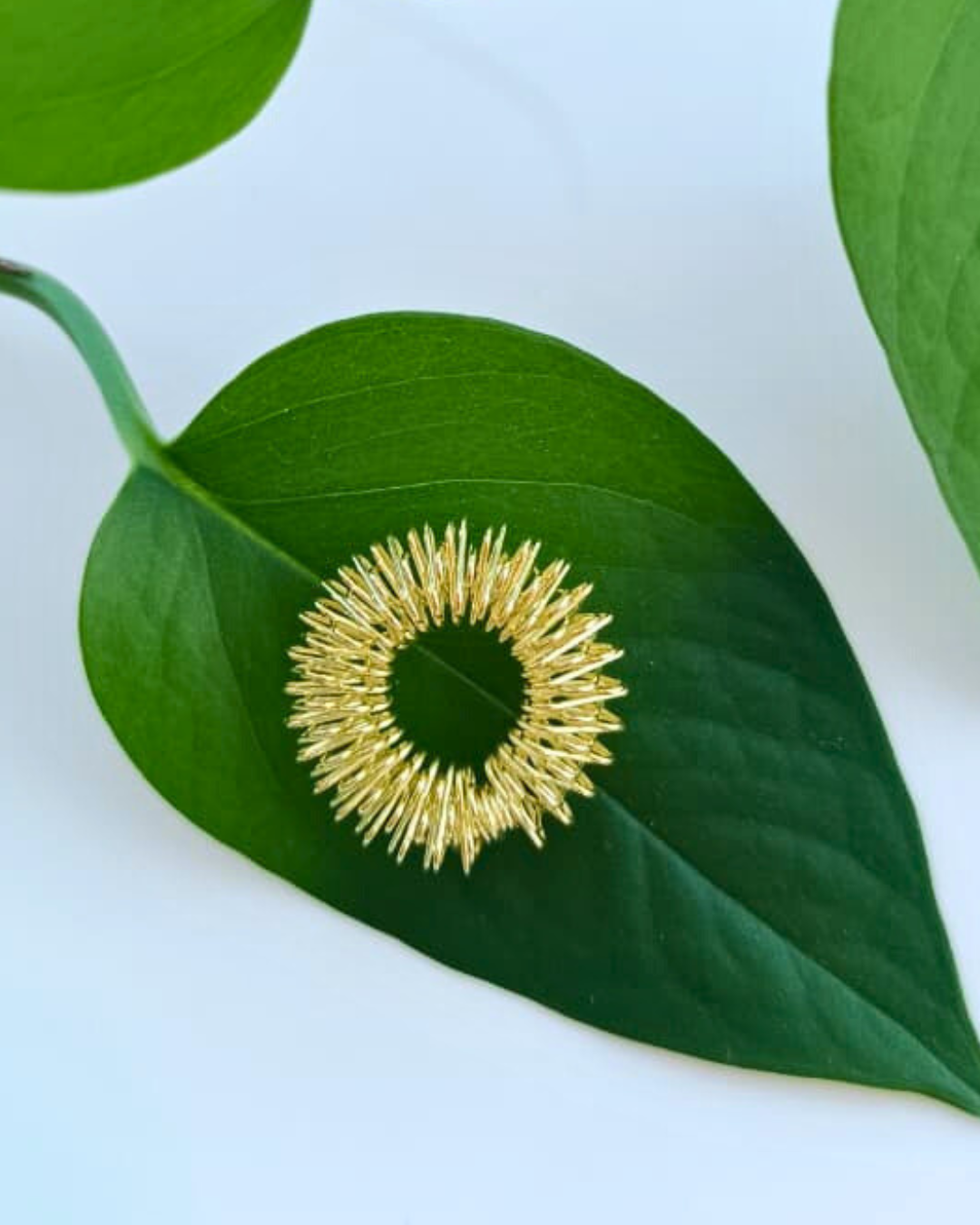 Anillo Dorado Acupresión